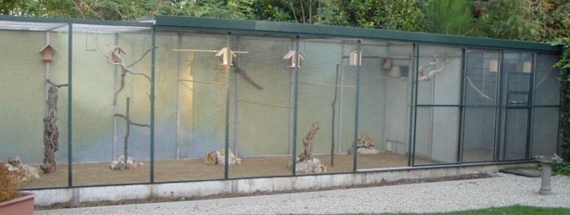Aviaries with flat roof